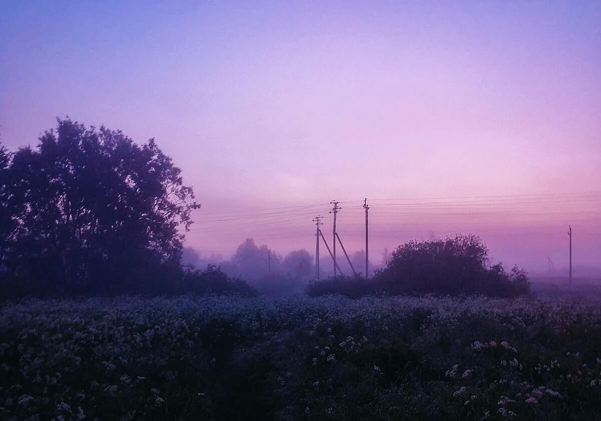 118图库 · 和值 · 号码统计资料库（文字版）